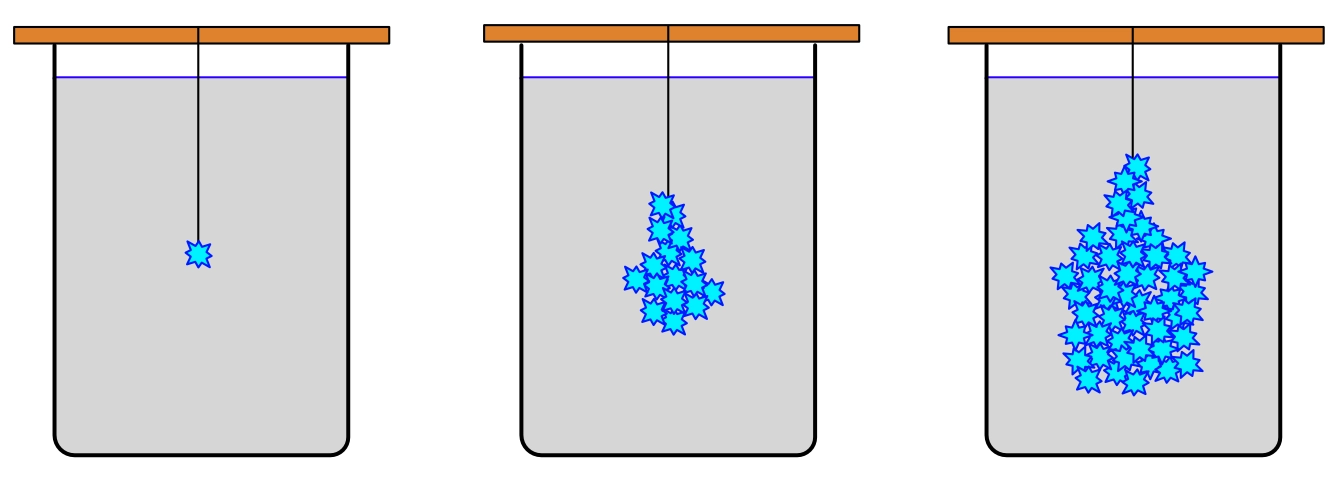 Three glass beakers with seed crystals showing progression of crystal growth in a structured pattern