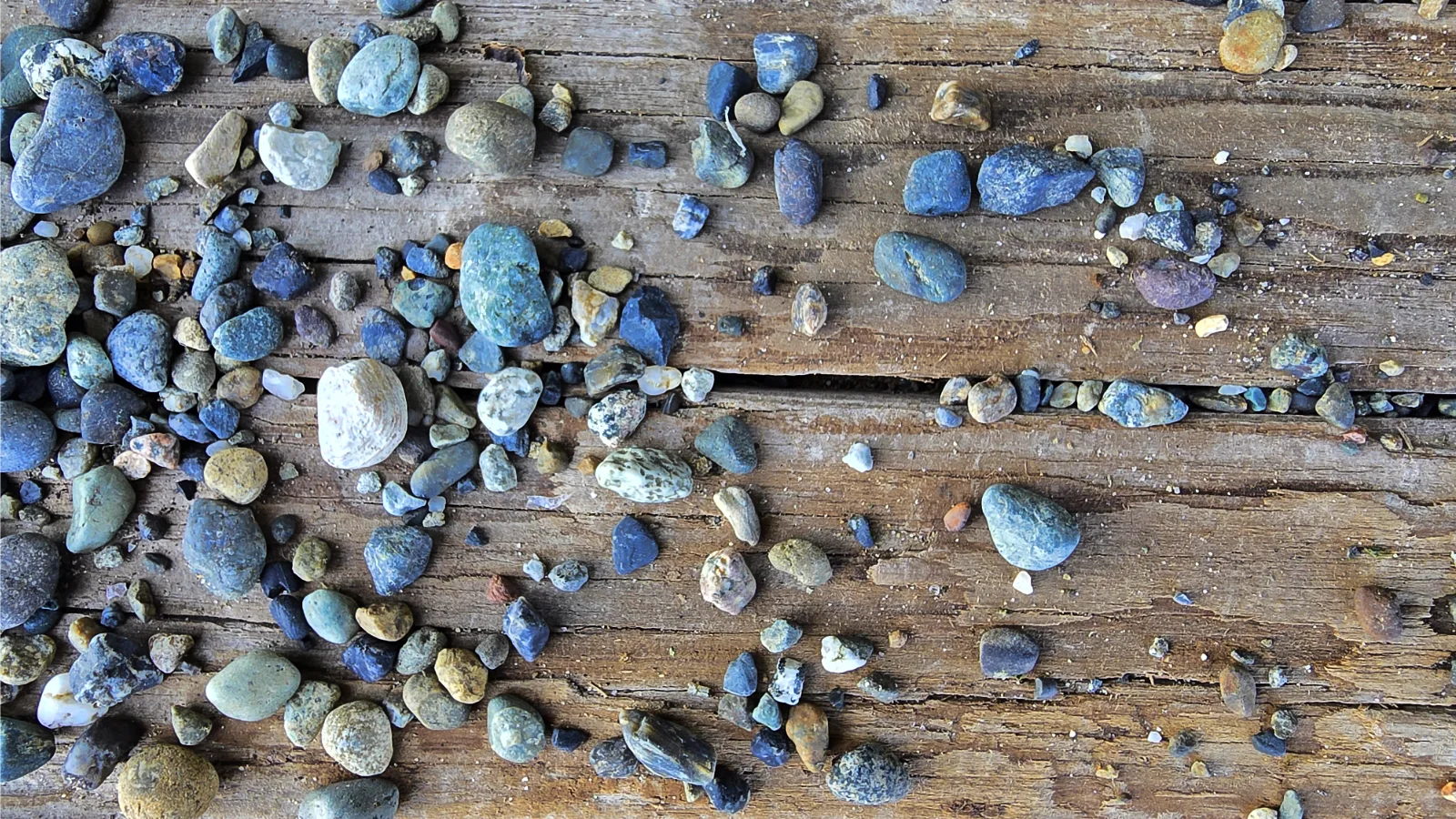 Close up of multi-colored pebbles randomly scattered on weathered, natural tan wood